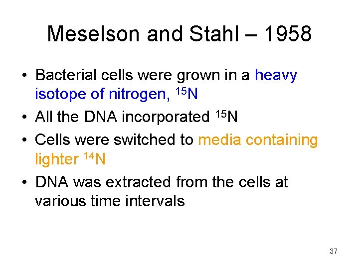Meselson and Stahl – 1958 • Bacterial cells were grown in a heavy isotope