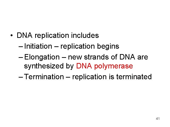  • DNA replication includes – Initiation – replication begins – Elongation – new