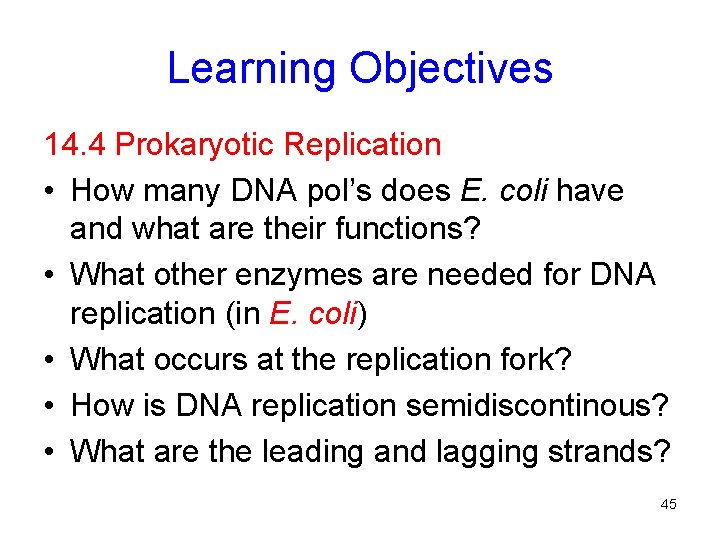 Learning Objectives 14. 4 Prokaryotic Replication • How many DNA pol’s does E. coli