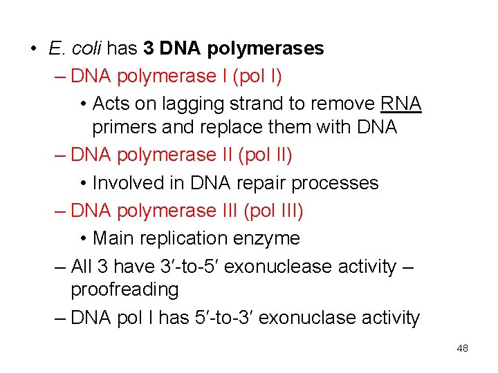  • E. coli has 3 DNA polymerases – DNA polymerase I (pol I)
