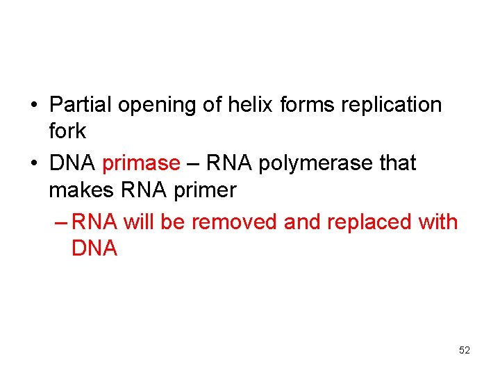  • Partial opening of helix forms replication fork • DNA primase – RNA