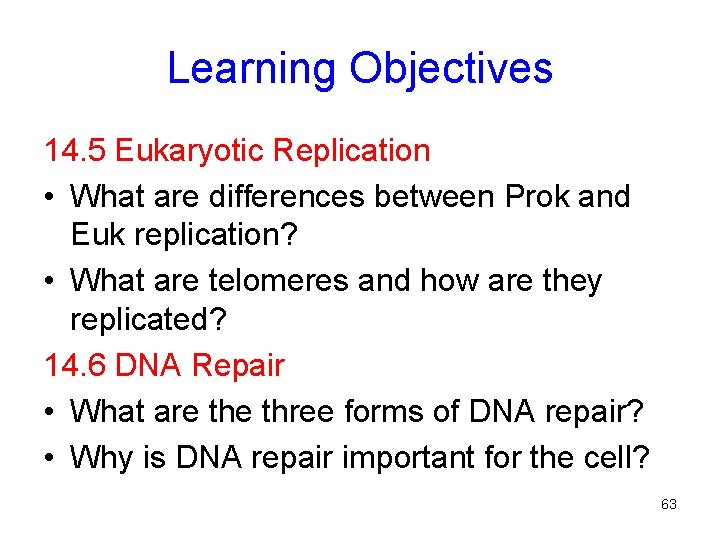 Learning Objectives 14. 5 Eukaryotic Replication • What are differences between Prok and Euk