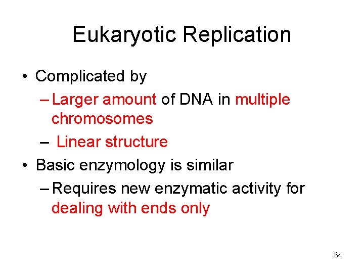 Eukaryotic Replication • Complicated by – Larger amount of DNA in multiple chromosomes –