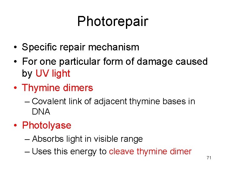 Photorepair • Specific repair mechanism • For one particular form of damage caused by