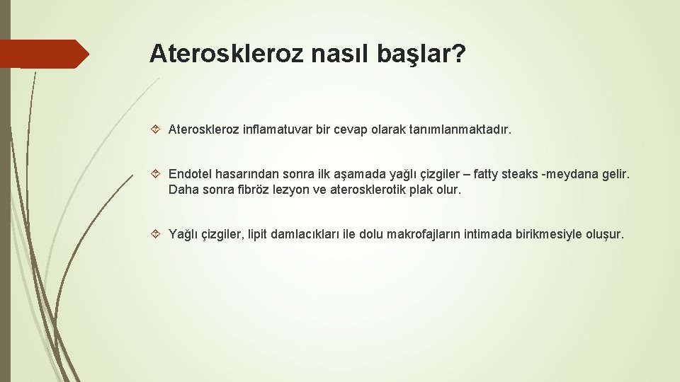 Ateroskleroz nasıl başlar? Ateroskleroz inflamatuvar bir cevap olarak tanımlanmaktadır. Endotel hasarından sonra ilk aşamada