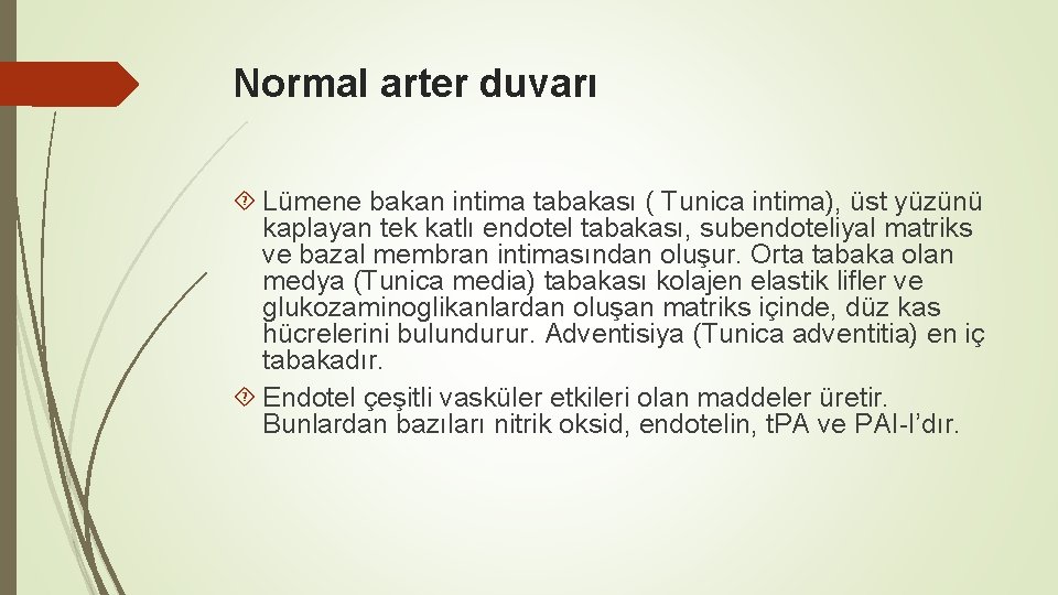 Normal arter duvarı Lümene bakan intima tabakası ( Tunica intima), üst yüzünü kaplayan tek