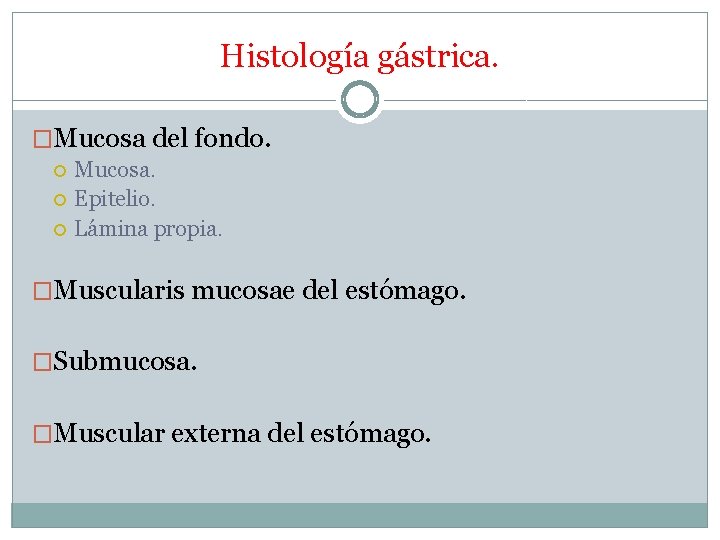 Histología gástrica. �Mucosa del fondo. Mucosa. Epitelio. Lámina propia. �Muscularis mucosae del estómago. �Submucosa.