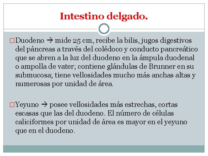 Intestino delgado. �Duodeno mide 25 cm, recibe la bilis, jugos digestivos del páncreas a