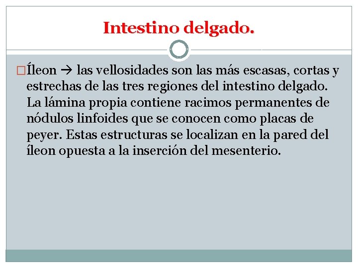Intestino delgado. �Íleon las vellosidades son las más escasas, cortas y estrechas de las