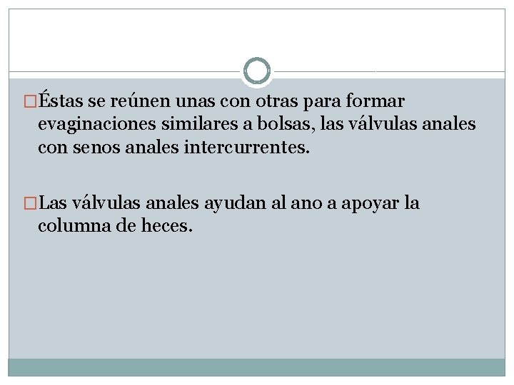 �Éstas se reúnen unas con otras para formar evaginaciones similares a bolsas, las válvulas