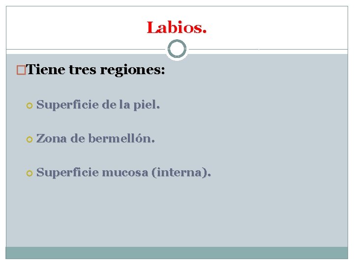 Labios. �Tiene tres regiones: Superficie de la piel. Zona de bermellón. Superficie mucosa (interna).