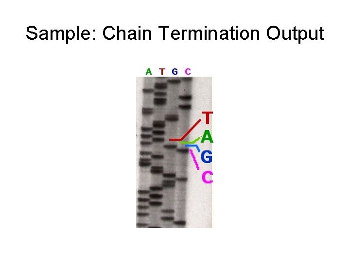 Sample: Chain Termination Output 