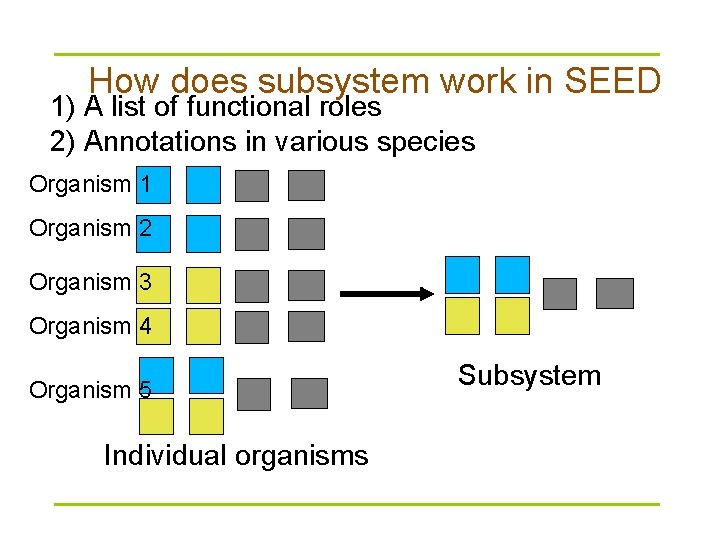 How does subsystem work in SEED 1) A list of functional roles 2) Annotations