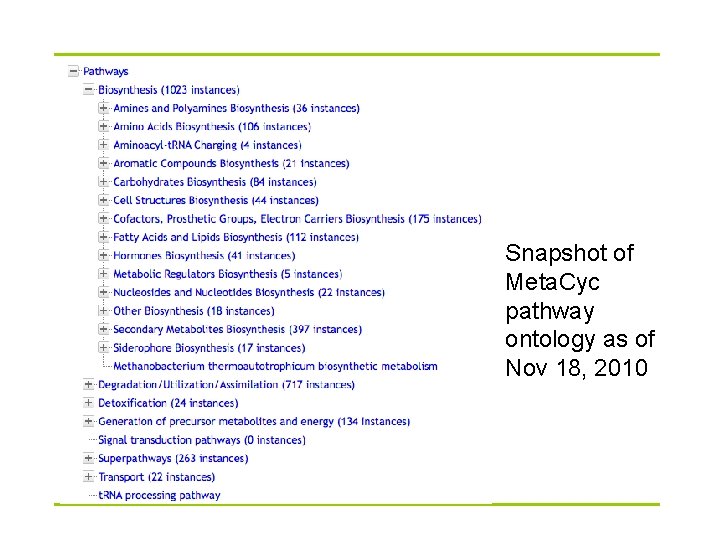 Snapshot of Meta. Cyc pathway ontology as of Nov 18, 2010 