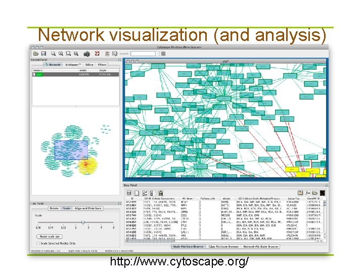 Network visualization (and analysis) http: //www. cytoscape. org/ 