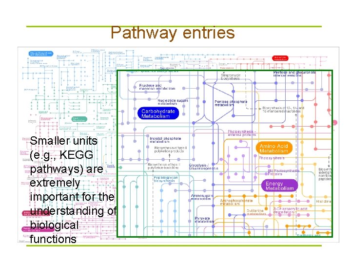 Pathway entries Smaller units (e. g. , KEGG pathways) are extremely important for the