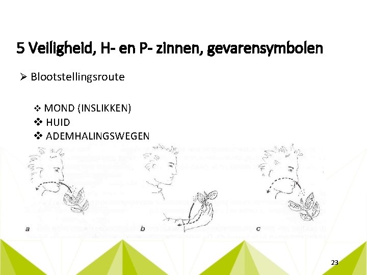 5 Veiligheid, H- en P- zinnen, gevarensymbolen Ø Blootstellingsroute v MOND (INSLIKKEN) v HUID