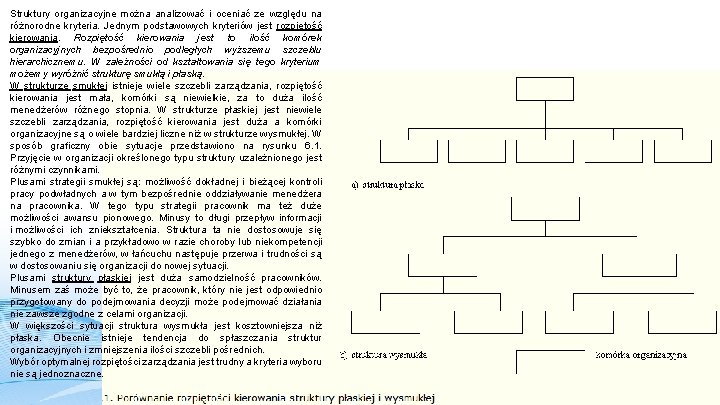 Struktury organizacyjne można analizować i oceniać ze względu na różnorodne kryteria. Jednym podstawowych kryteriów