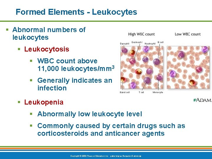 Formed Elements - Leukocytes § Abnormal numbers of leukocytes § Leukocytosis § WBC count