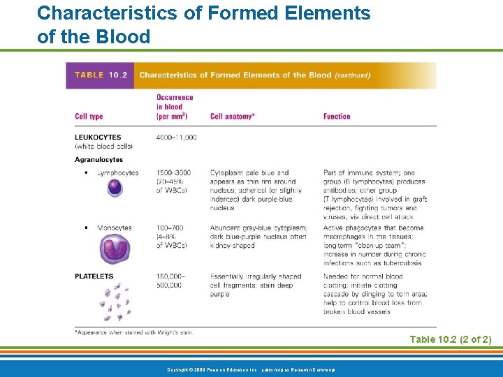 Characteristics of Formed Elements of the Blood Table 10. 2 (2 of 2) Copyright