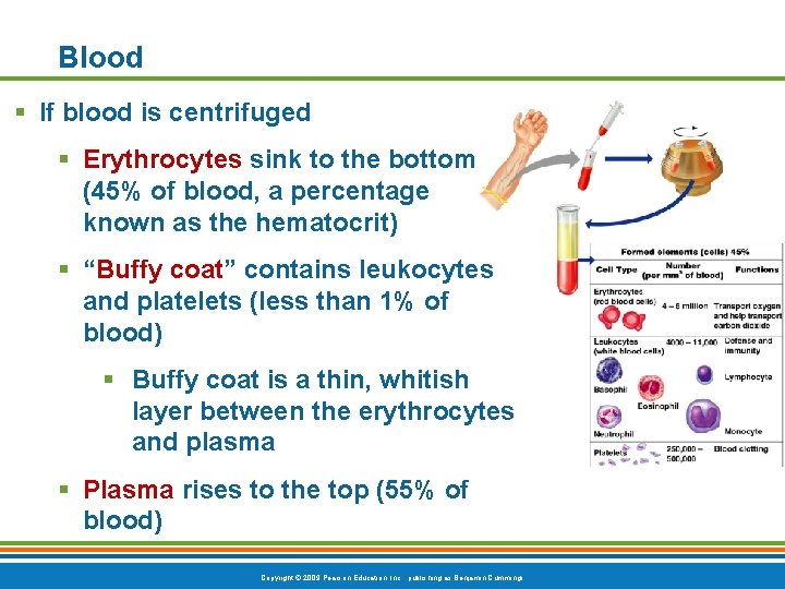 Blood § If blood is centrifuged § Erythrocytes sink to the bottom (45% of