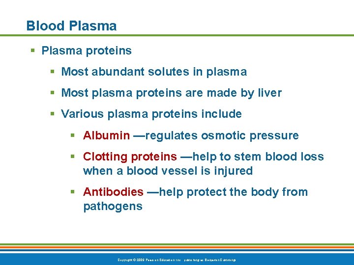 Blood Plasma § Plasma proteins § Most abundant solutes in plasma § Most plasma