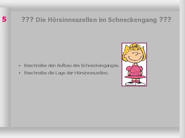 5 ? ? ? Die Hörsinneszellen im Schneckengang ? ? ? • Beschreibe den