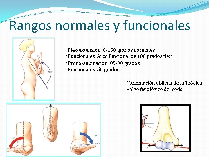 Rangos normales y funcionales *Flex-extensión: 0 -150 grados normales *Funcionales: Arco funcional de 100