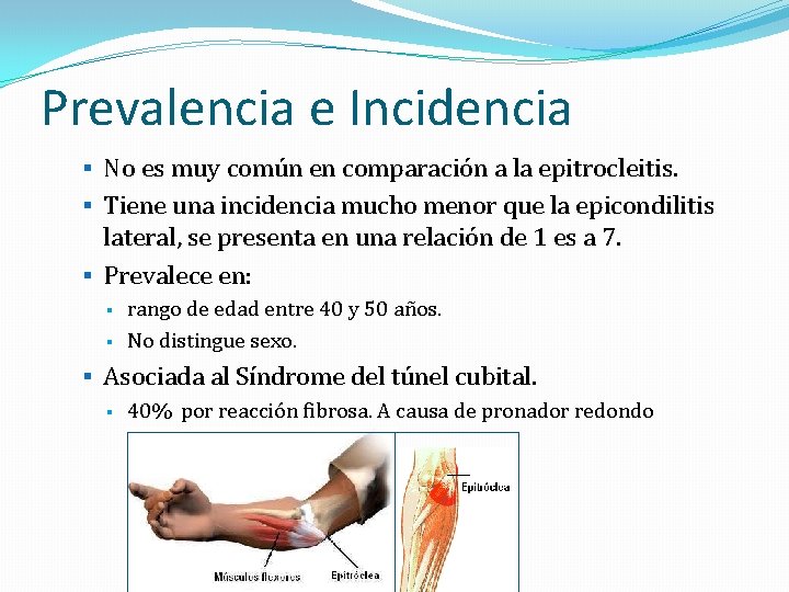 Prevalencia e Incidencia § No es muy común en comparación a la epitrocleitis. §