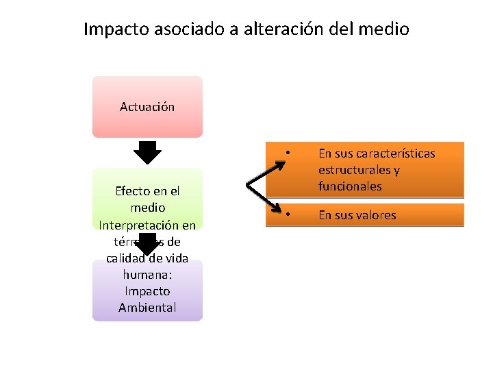 Impacto asociado a alteración del medio Actuación Efecto en el medio Interpretación en términos