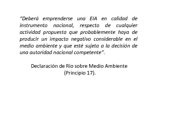 “Deberá emprenderse una EIA en calidad de instrumento nacional, respecto de cualquier actividad propuesta