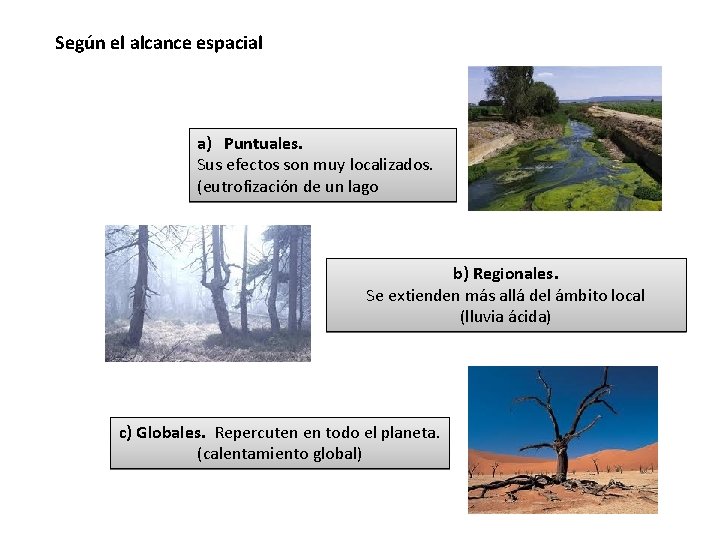 Según el alcance espacial a) Puntuales. Sus efectos son muy localizados. (eutrofización de un