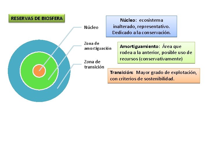 RESERVAS DE BIOSFERA Núcleo: ecosistema inalterado, representativo. Dedicado a la conservación. Núcleo Zona de