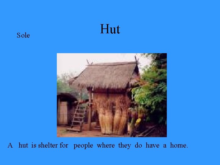 Sole Hut A hut is shelter for people where they do have a home.