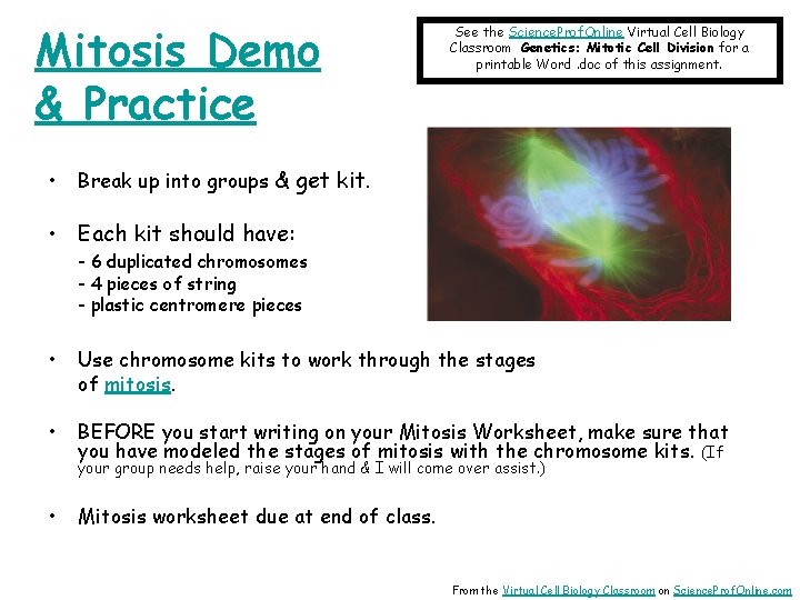 Mitosis Demo & Practice • See the Science. Prof. Online Virtual Cell Biology Classroom