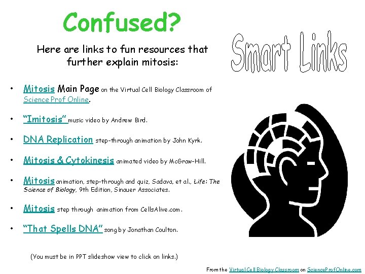 Confused? Here are links to fun resources that further explain mitosis: • Mitosis Main