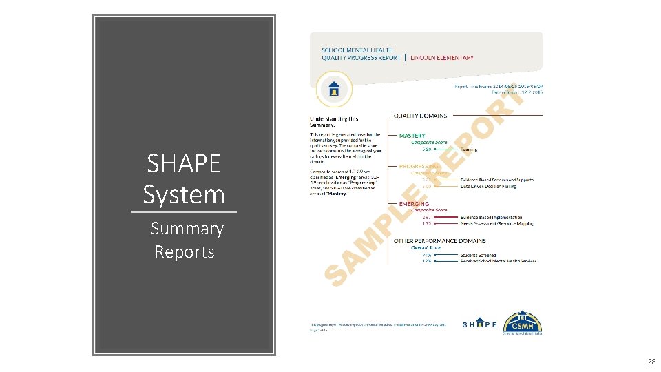 SHAPE System Summary Reports 28 