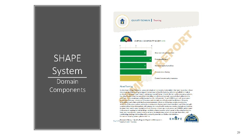 SHAPE System Domain Components 29 