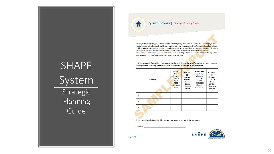 SHAPE System Strategic Planning Guide 30 