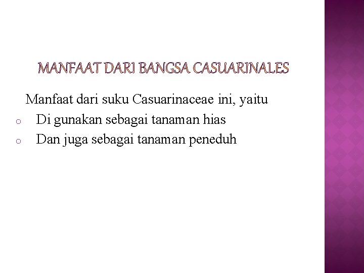 o o Manfaat dari suku Casuarinaceae ini, yaitu Di gunakan sebagai tanaman hias Dan