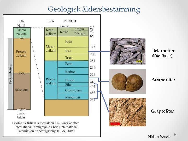 Geologisk åldersbestämning Belemniter (bläckfiskar) Ammoniter Graptoliter Håkan Wieck 