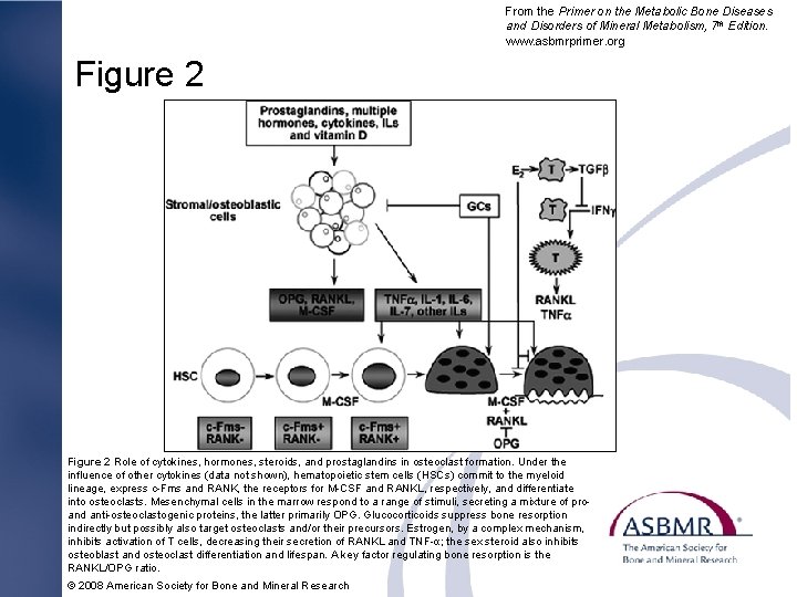 From the Primer on the Metabolic Bone Diseases and Disorders of Mineral Metabolism, 7