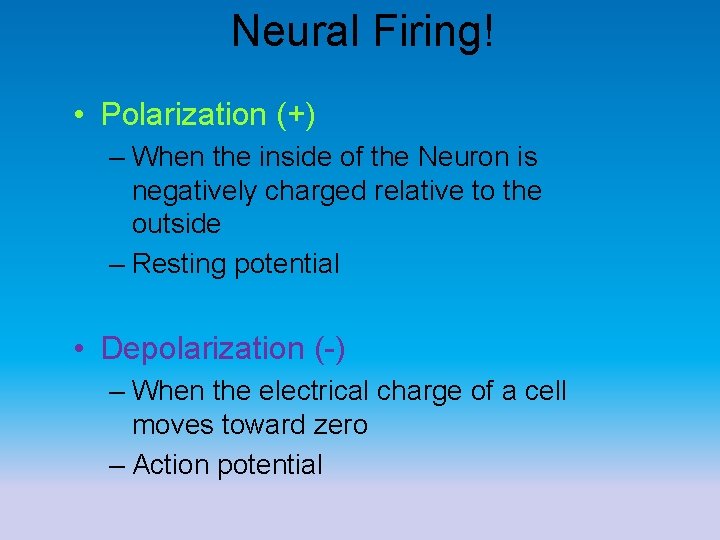 Neural Firing! • Polarization (+) – When the inside of the Neuron is negatively