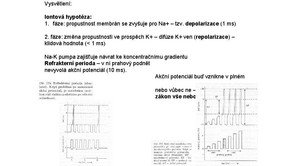 Vysvětlení: Iontová hypotéza: 1. fáze: propustnost membrán se zvyšuje pro Na+ – tzv. depolarizace