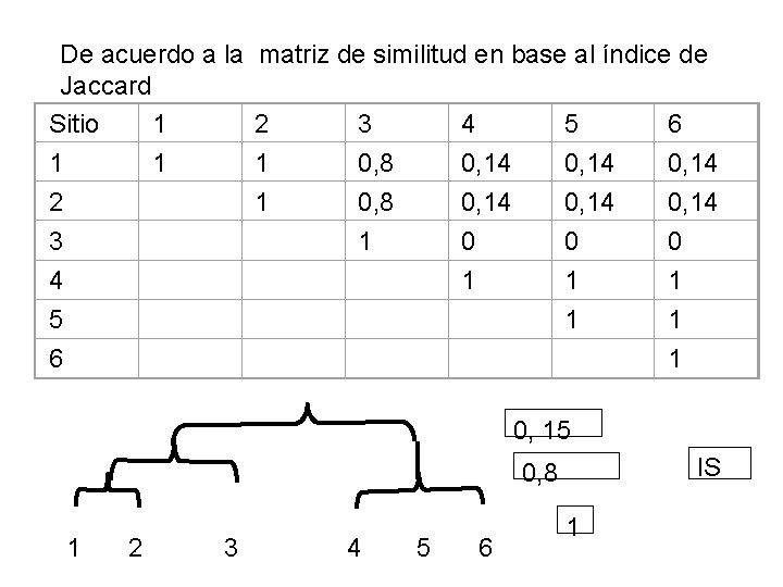 De acuerdo a la matriz de similitud en base al índice de Jaccard Sitio