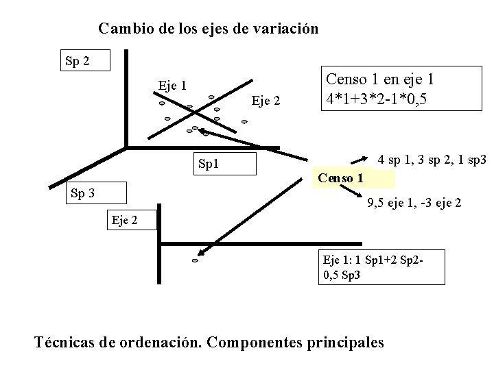 Cambio de los ejes de variación Sp 2 Eje 1 Eje 2 Sp 1