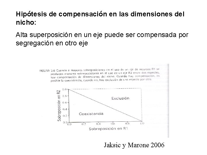 Hipótesis de compensación en las dimensiones del nicho: Alta superposición en un eje puede