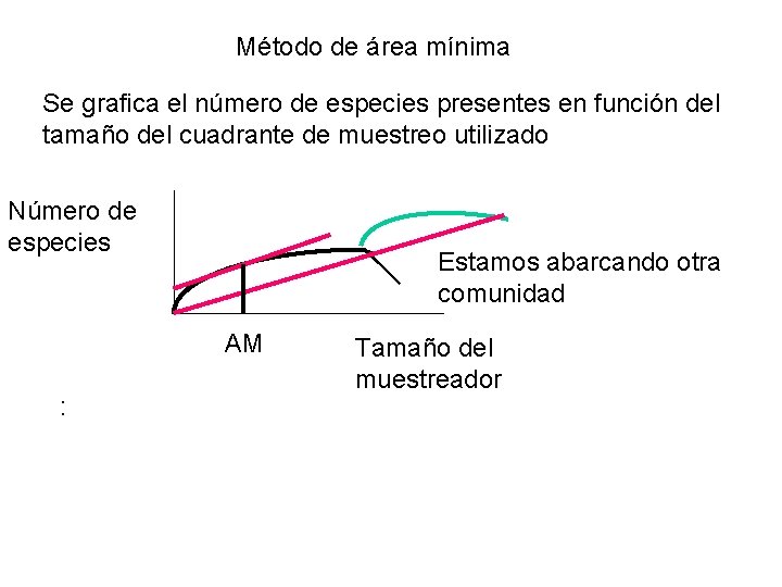 Método de área mínima Se grafica el número de especies presentes en función del