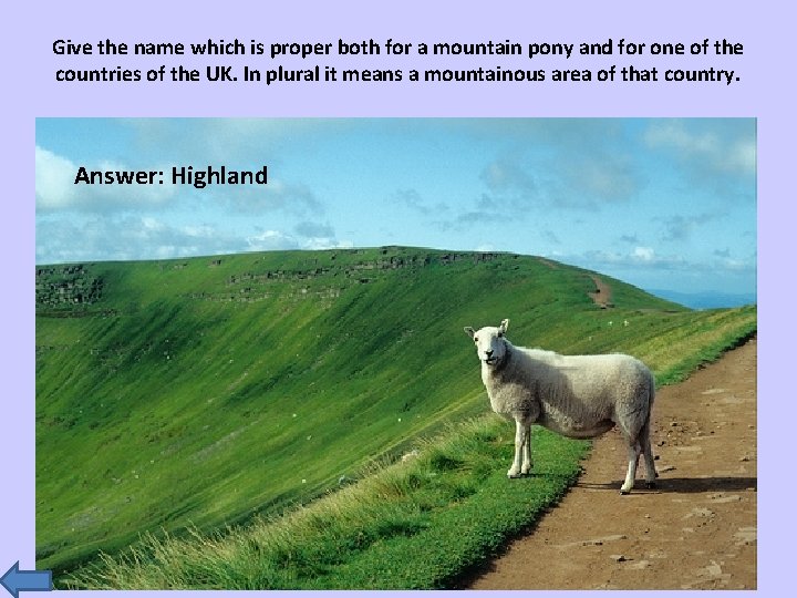Give the name which is proper both for a mountain pony and for one