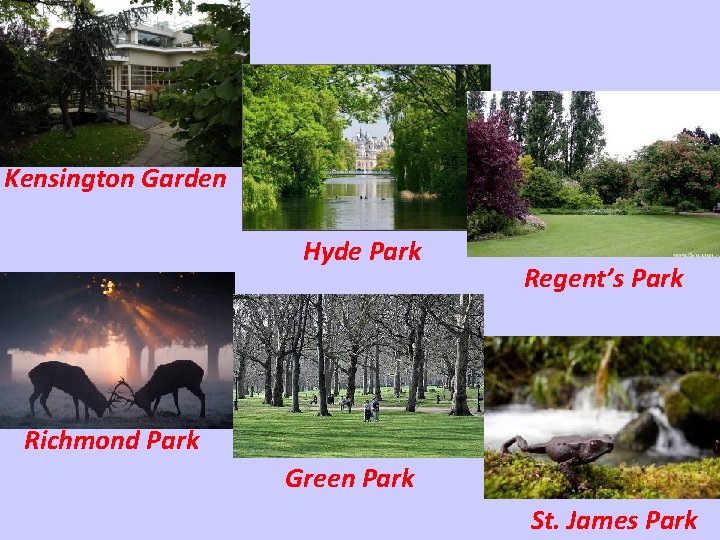 Kensington Garden Hyde Park Regent’s Park Richmond Park Green Park St. James Park 